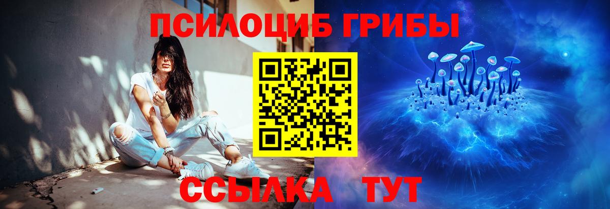 Нягань  Галлюциногенные грибы Cubensis  Псилоцибиновые грибы прущие грибы  Вход с VPN 